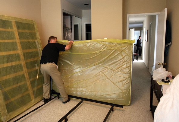 Bed Bug Exterminator Tucson project