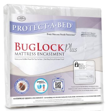 Bed Bug Exterminator Tucson project
