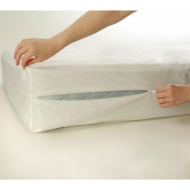 Bed Bug Exterminator Tucson project